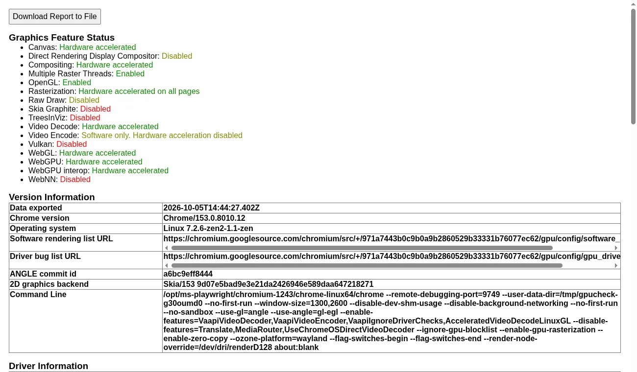 The chrome://gpu report from a headed run in the container, showing Canvas, Compositing, Rasterization, WebGL and WebGPU as hardware accelerated.